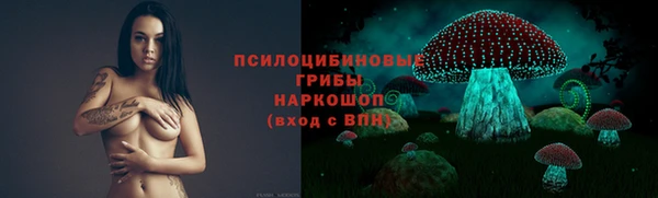 Альфа ПВП Алексеевка