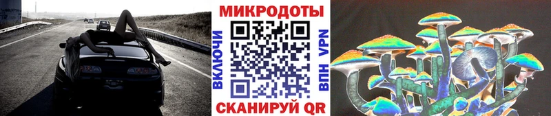 где можно купить   Сухой Лог  Галлюциногенные грибы Cubensis 