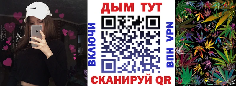 Шишки марихуана сатива  как найти закладки  Сухой Лог 